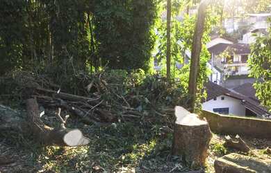 Imagem 12: Terreno no bairro Velha. 