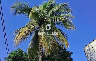 Imagem 3: Jacarepaguá Casa Linear 2 quartos