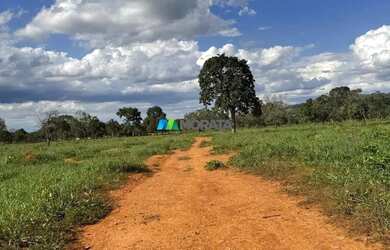 Imagem 5: FAZENDA À VENDA - 444 HECTARES - MORRO DA GARÇA MG