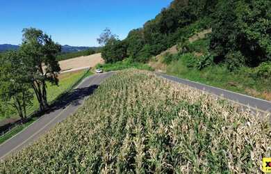 Imagem: A fazenda possui 1.715m² de Área e está localizado em Nova