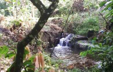 Imagem: A fazenda possui 150.000m² de Área e está localizado em