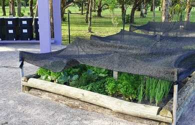 Imagem 11: Terreno à venda, 360 m² por R$ 519.500 - Canasvieiras - Florianópolis/SC