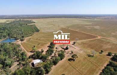 Imagem 2: Fazenda 115 Alq 566 HÁ formoso do Araguaia-TO
