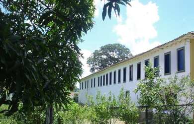 Imagem 5: Fazenda 540 ha, Rio Preto/MG, centenária, 65km de Juiz Fora