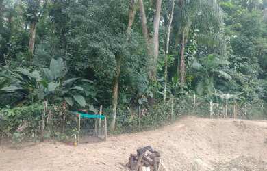 Imagem 8: Terreno no Quiriri, 290.000