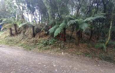 Imagem: O terreno possui 456m² de Área e está localizado em Canela