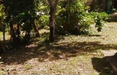 Imagem 5: Chacara paraiso apenas 147 mil reais