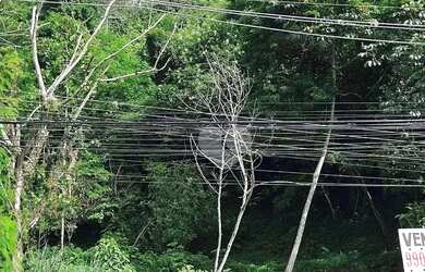 Imagem 13: Lopes Enjoy Vende Terreno com 5150 m² por R$ 480.000,00- Vargem Grande...