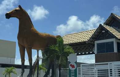 Imagem 14: Aluguel temporada - Home Beach