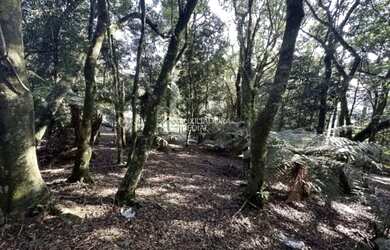 Imagem 2: Terreno à venda em Gramado Condomínio Lagos de Gramado