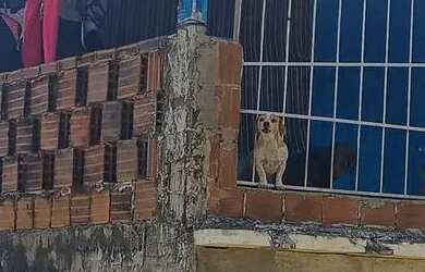 Imagem: A casa possui 4 Dormitórios, 2 Banheiros, 1 Vaga na garagem