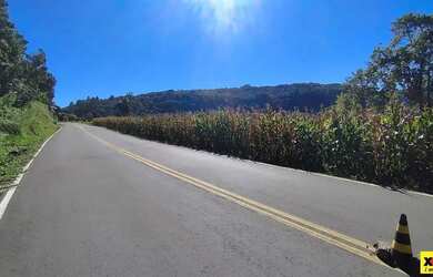 Imagem 12: Sítio / Chácara para Venda em Nova Petrópolis, Nove Colonias