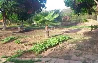 Imagem 6: VENDO LINDO SITIO DE 16 HECTARES NA BARRAGEM DO BICO DA PEDRA EM JANAUBA...