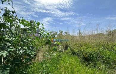 Imagem 8: Terreno à venda - Vila Real - Hortolândia/SP