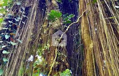 Imagem 12: Casa para venda com 6 quartos, 12336m² - Itaipava - Petrópolis/RJ