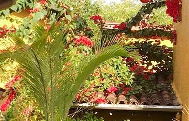 Imagem 4: Chalé Boiçucanga