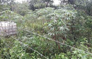 Imagem: A chácara possui 3.700m² de Área e está localizado em Montes