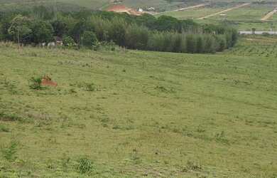 Imagem 1: FAZENDOLA - AREA 72.600M2 - FRENTE RJ-124 VIALAGOS-ARARUAMA - RJ