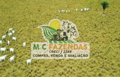 Imagem 11: Fazenda à Venda em Cicero Dantas - BA