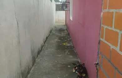 Imagem 3: Cj Osvaldo Frota l na C Nova, Imóvel de 03 Qtos px ao Campo de Futebol