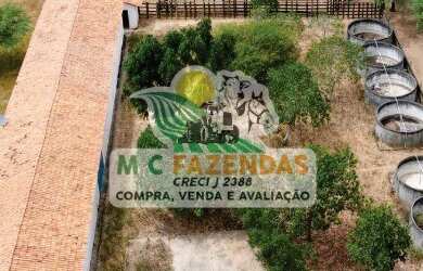 Imagem 4: Fazenda à Venda em Cicero Dantas - BA