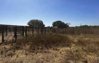 Imagem 13: Fazenda arrendamento 700hec pra abrir em aliança do Tocantins TO