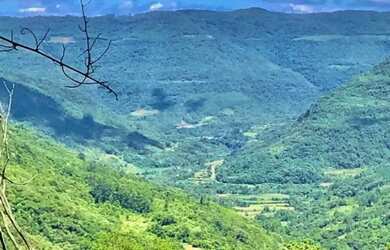 Imagem 3: Sítio / Chácara para Venda em Nova Petrópolis, Linha Pirajá Baixa