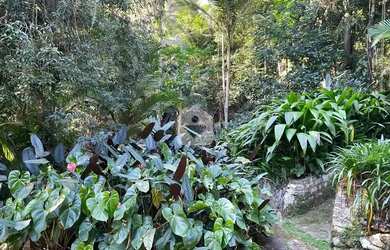 Imagem 15: Casa para venda com 6 quartos, 12336m² - Itaipava - Petrópolis/RJ