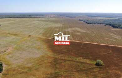 Imagem 13: Fazenda 115 Alq 566 HÁ formoso do Araguaia-TO