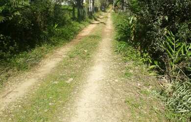 Imagem: A fazenda possui 15000m² de Área e está localizado em Morretes