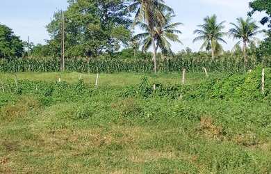 Imagem: A fazenda possui 49000m² de Área e está localizado em Santa