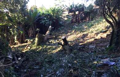 Imagem 15: Terreno no bairro Velha. 