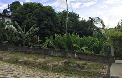 Imagem 7: Terreno no bairro Velha. 