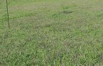 Imagem: O terreno possui 600m² de Área e está localizado em Centro