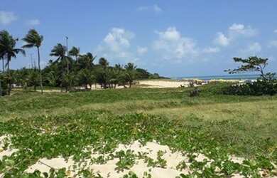 Imagem 12: Tambaú praia AP 1qt, promo 10 diárias abril