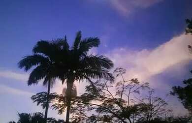 Imagem 2: Lote/Terreno para venda possui 500 metros quadrados em Jardim Imperial...