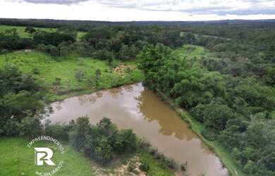 Imagem 8: Vendo Fazenda na região das Taipas. Município de Luziânia/GO