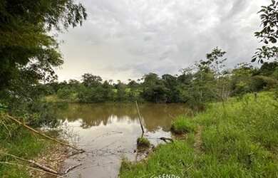 Imagem 7: Vendo Fazenda na região das Taipas. Município de Luziânia/GO