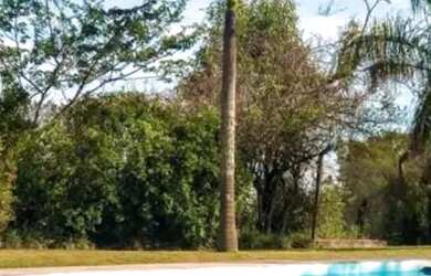 Imagem 12: Sitio com 98.000m2 PREÇO BOM Valor a baixo de mercado