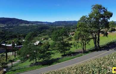 Imagem 10: Sítio / Chácara para Venda em Nova Petrópolis, Nove Colonias