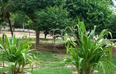Imagem 7: VENDO LINDO SITIO DE 16 HECTARES NA BARRAGEM DO BICO DA PEDRA EM JANAUBA...