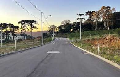 Imagem 8: Terrenos - Nossa Senhora da Saúde