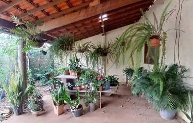 Imagem 15: Fazenda/Sítio/Chácara em Montes Claros à venda