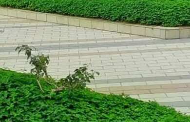 Imagem: O apartamento possui 3 Dormitórios, 4 Banheiros, 4 Vagas na