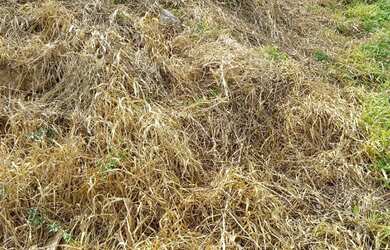 Imagem: Vende se terreno na Vila Dos Eucaliptos