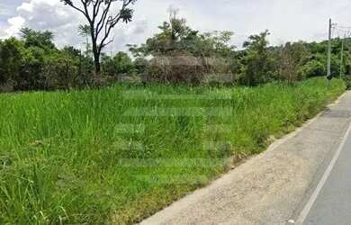 Imagem 5: Área plana à venda - Estrada do Jequitiba - Valinhos