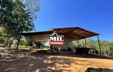 Imagem 14: Fazenda 115 Alq 566 HÁ formoso do Araguaia-TO