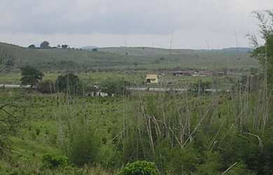 Imagem 2: FAZENDOLA - AREA 72.600M2 - FRENTE RJ-124 VIALAGOS-ARARUAMA - RJ