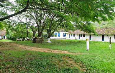 Imagem 8: Fazenda 540 ha, Rio Preto/MG, centenária, 65km de Juiz Fora