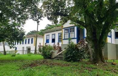Imagem 6: Fazenda 540 ha, Rio Preto/MG, centenária, 65km de Juiz Fora